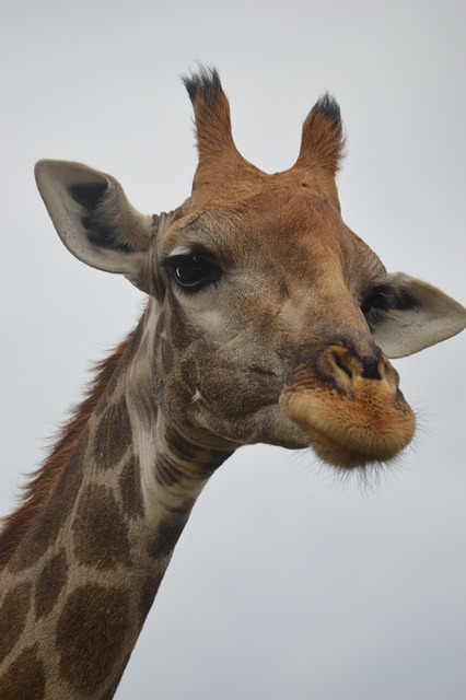 Serengeti National Park